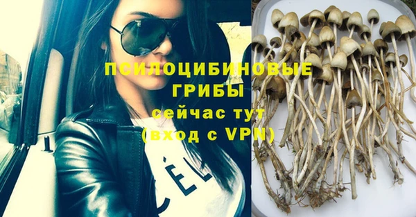 экстази Арсеньев