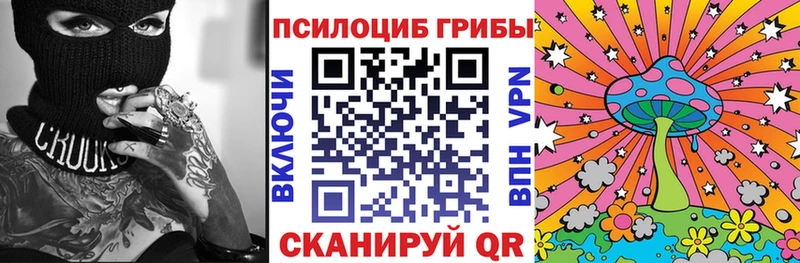 Псилоцибиновые грибы Psilocybe  Купить  Багратионовск 